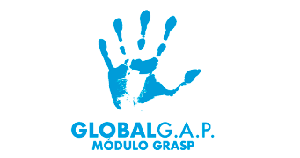 logo-global-grasp2
